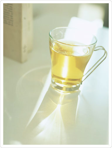 朝茶のススメ。
