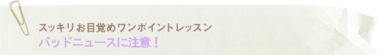 onepoint_back10.gif