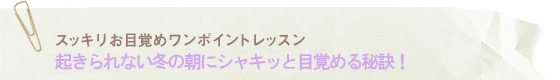 onepoint_back11.gif