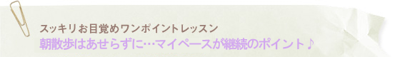 onepoint_back21.gif