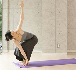 pubadukatasana250.jpg