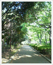 file23-02.jpg