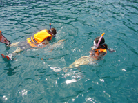 080826a.jpg