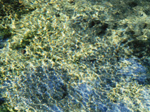 48_02.jpg