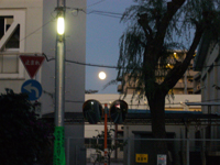 081114a.jpg