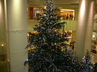 081212a.jpg