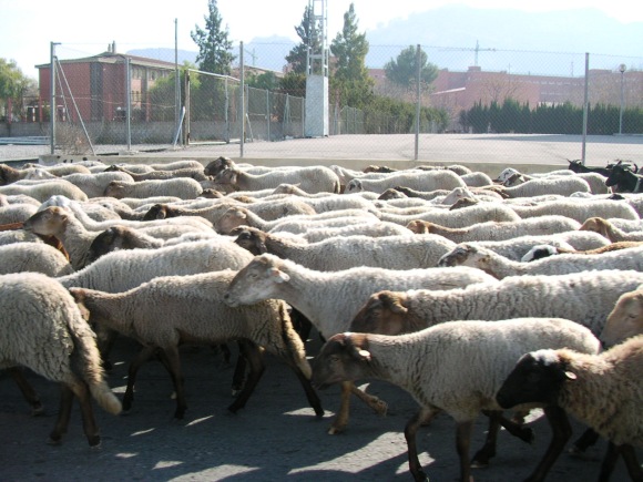dscn8236.jpg