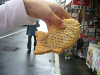 090524a.jpg