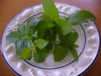 090529a.jpg