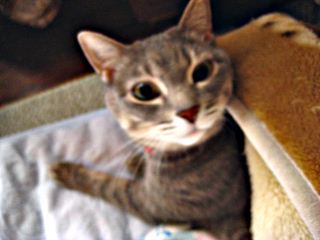 IMG_24382.jpg