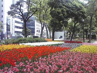 s-ST330351.jpg