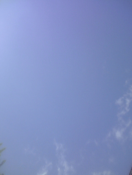 s-ST330354.jpg