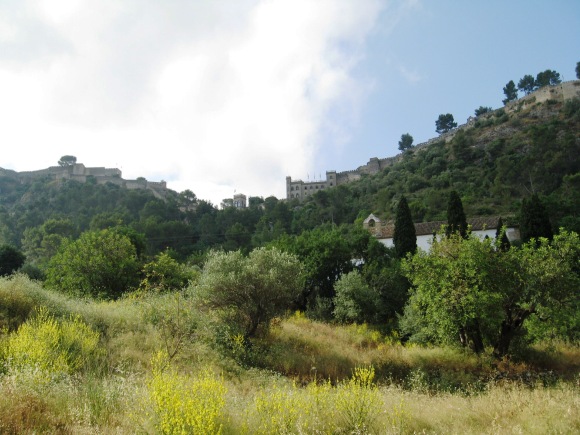 img_6517.jpg