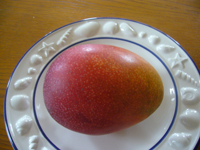 090708a.jpg