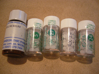 090808a.jpg