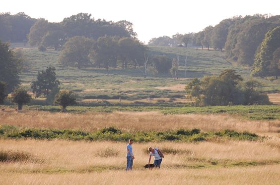 richmond-park-027_r richmond-park-027_r