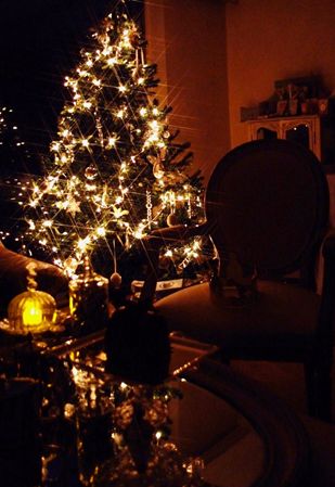 Tree 091_R