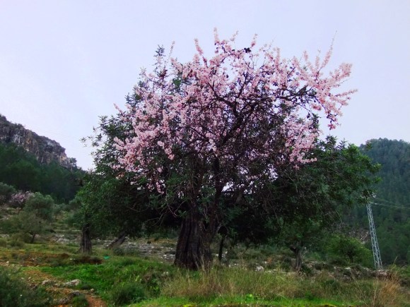 DSCF1143 DSCF1143