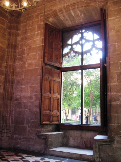 IMG_7424 IMG_7424