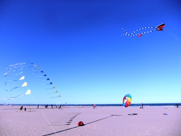 DSCF1994 DSCF1994
