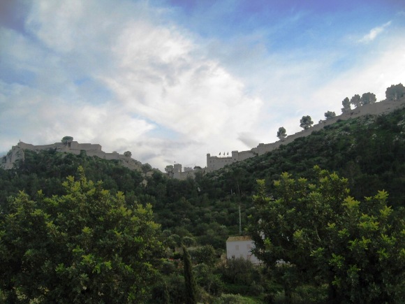 IMG_2083 IMG_2083