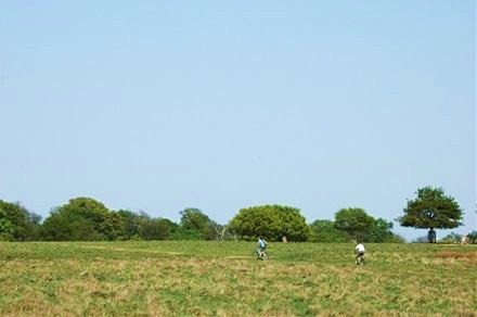img_974628_31264966_5[1]_R