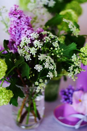 Lilas 003_R Lilas 003_R