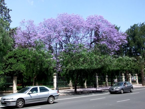 DSCF2724 DSCF2724