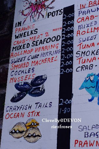 Clovelly4