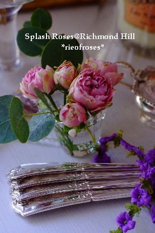 Splash roses 001 Splash roses 001