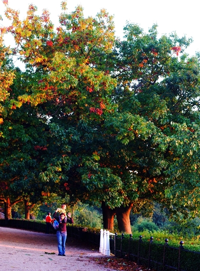Autumun 010_R
