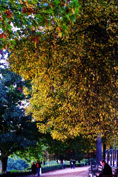 Autumun 023_R