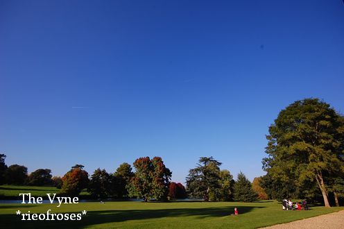 DSC_8902_R[1]