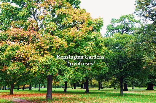 Kensinton park 22 oct 035_R Kensinton park 22 oct 035_R