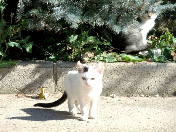 DSCF4376 DSCF4376