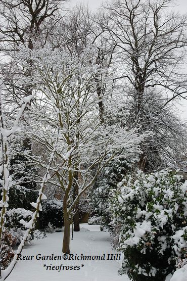 DSC_9852 DSC_9852