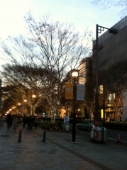 s-写真6