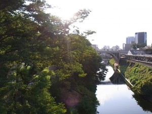 RIMG0643 RIMG0643
