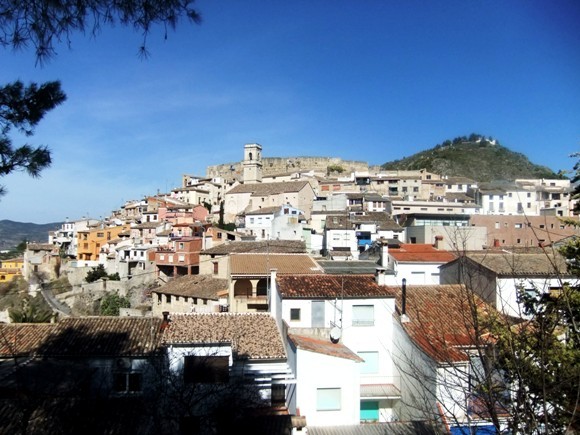 DSCF5629