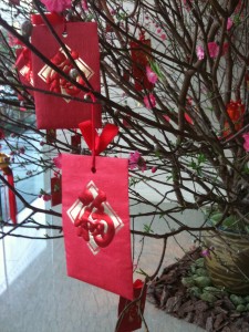 IMG_1189 IMG_1189