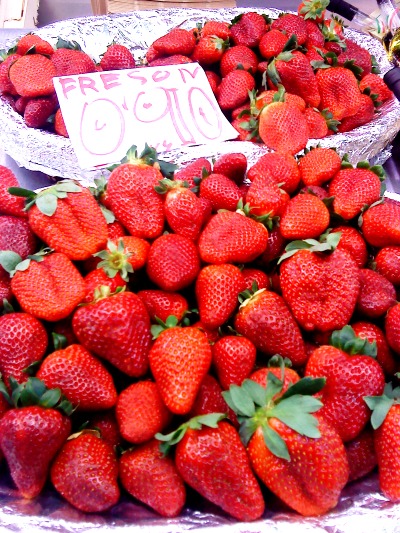 DSC00295 DSC00295