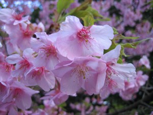 IMG_3275 IMG_3275