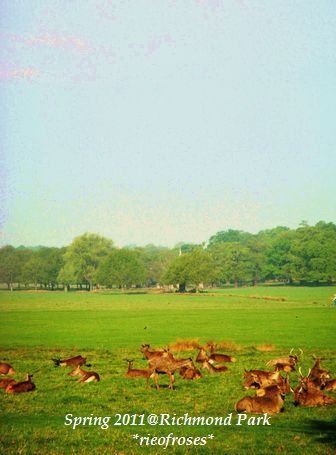 DSCN5331 DSCN5331