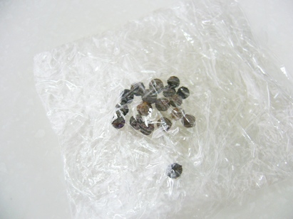 asajikan5 asajikan5