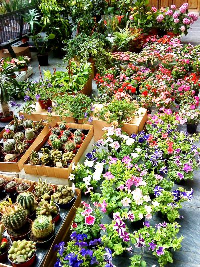 DSC00640 DSC00640