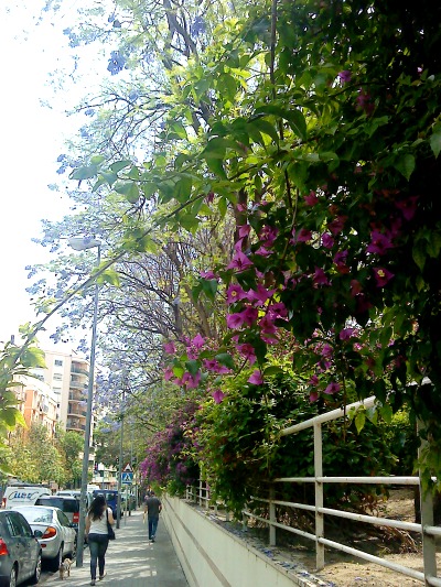 DSC00673