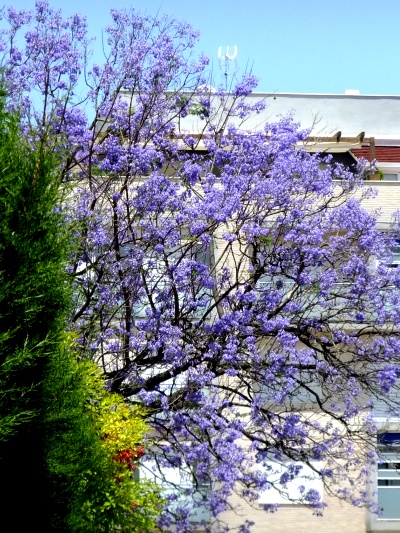 DSCF8151 DSCF8151