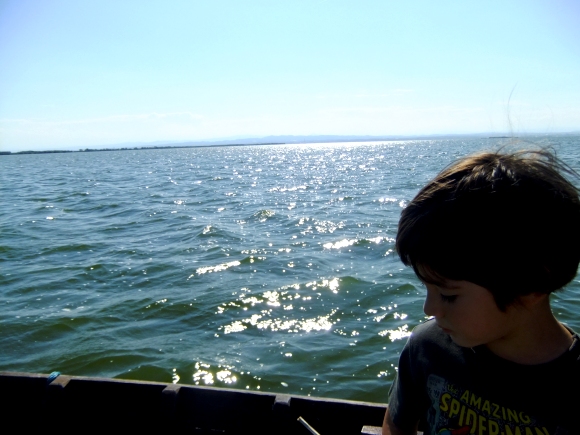DSCF8340 DSCF8340