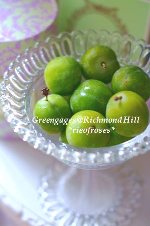 Greengages 004 Greengages 004