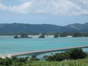 IMG_2008 IMG_2008